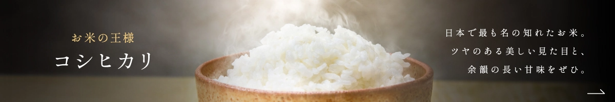 コシヒカリ