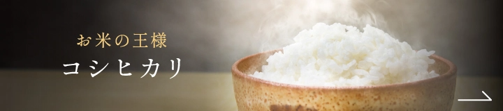 コシヒカリ